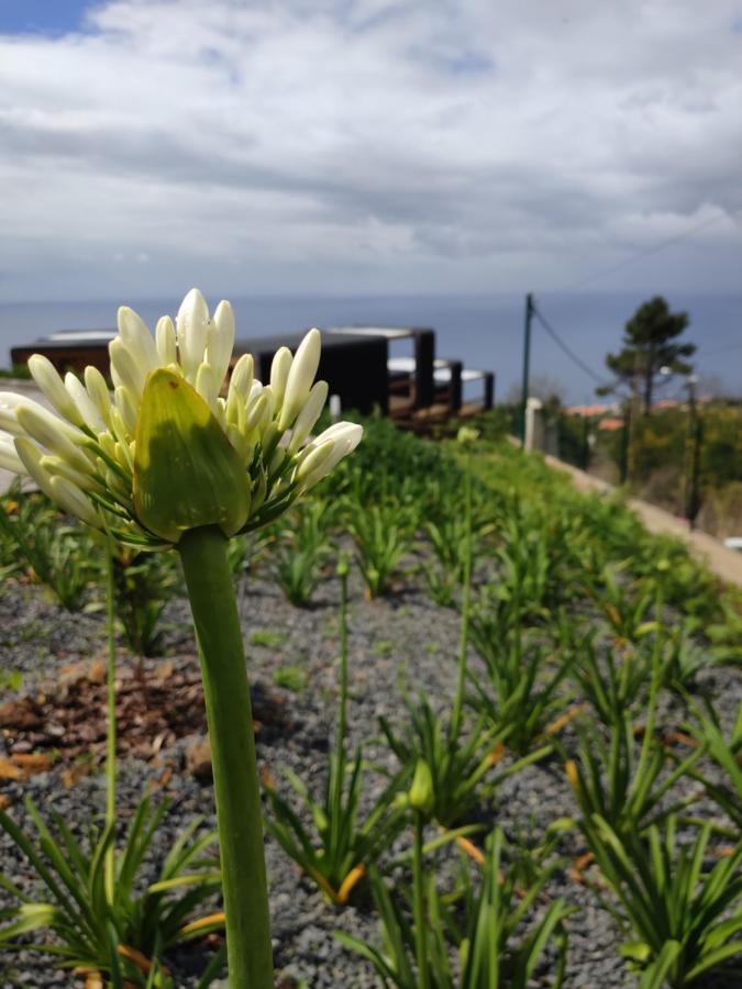 Отель Calheta Glamping Pods - Nature Retreat Экстерьер фото