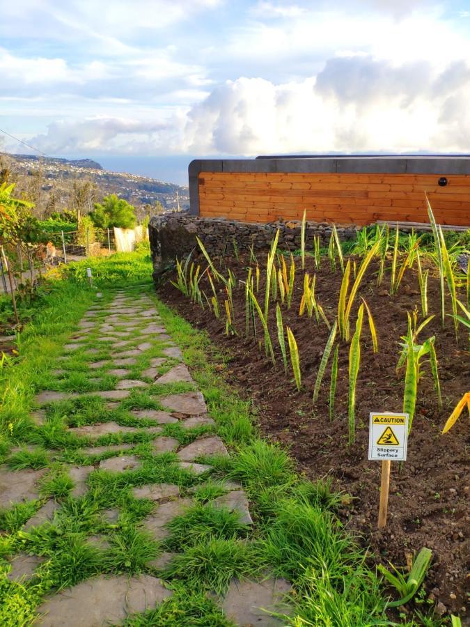 Calheta Glamping Pods - Nature Retreat Экстерьер фото
